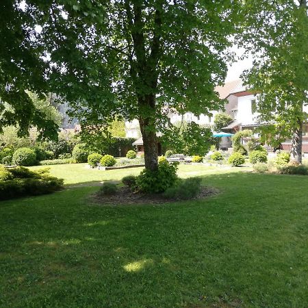 Chez Marlyse-Chambres Et Table D'Hotes Saint-Maurice-sur-Moselle Exterior photo